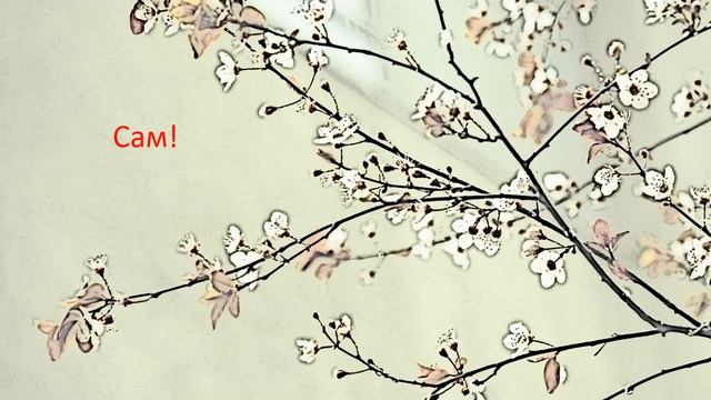 "Один - много" игра для развития словоизменения у детей. смотреть онлайн