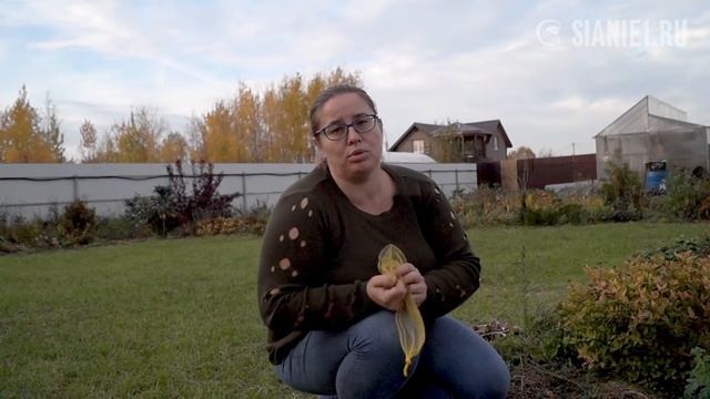 Осенняя посадка луковичных смотреть онлайн