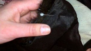 Как пришить подкладку к длинной шубе Ремонт шубы из натурального меха норки Видео урок Мастер класс