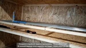 Перепелиная ферма как бизнес! Первый день. Видео №3