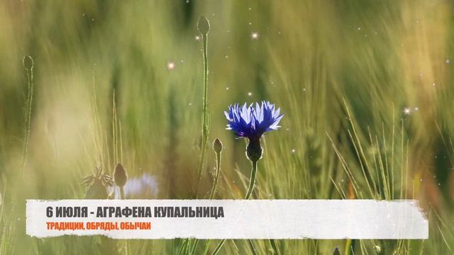 АГРАФЕНА КУПАЛЬНИЦА - ПРАЗДНИК 6 ИЮЛЯ | НАРОДНЫЕ ТРАДИЦИИ И ОБЫЧАИ смотреть онлайн