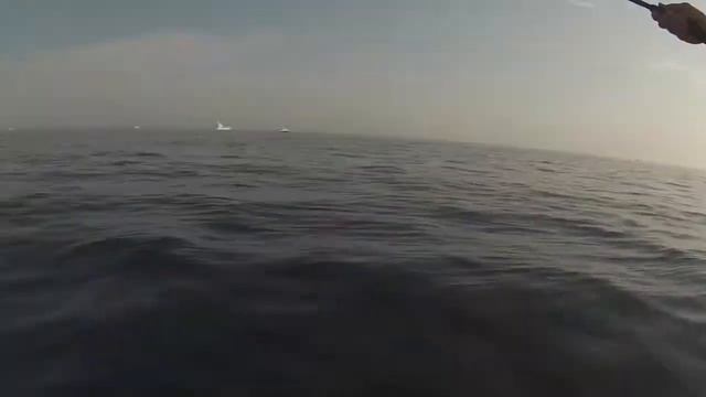 Yellow Fin Tuna Fishing смотреть онлайн