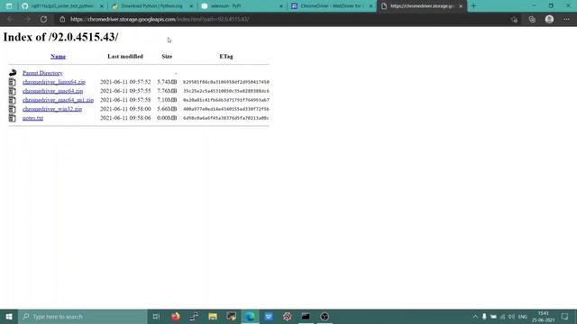 How to Order using Python and Selenium смотреть онлайн