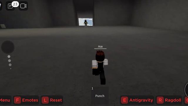 RAGDOLL TESTING смотреть онлайн