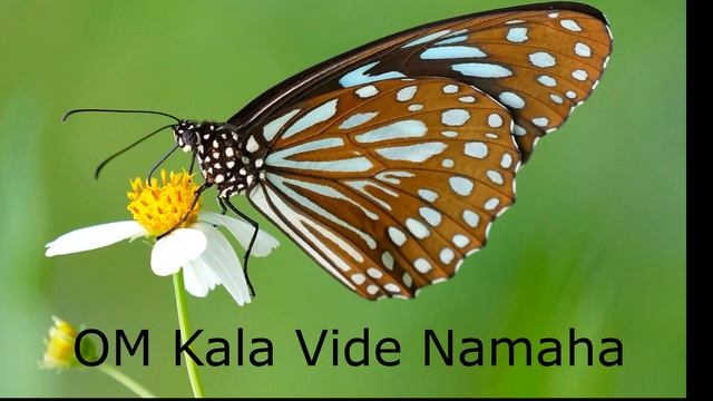 Deva Premal: Kala mantra смотреть онлайн