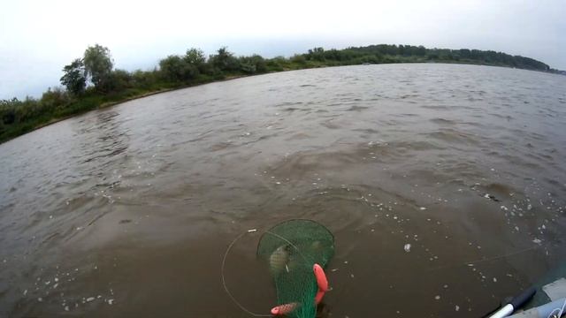 ЛЕЩ НА ЯЙЦА. СОМ НА ФИДЕР. Ловля на подпуск. Утопил подсачек. Рыбалка на Оке. смотреть онлайн