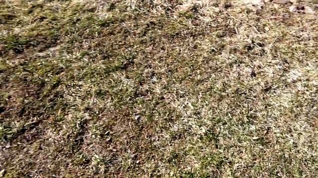 Туалет без запаха смотреть онлайн