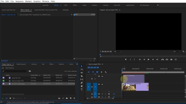 How to import PNG Sequence into Premiere Pro смотреть онлайн