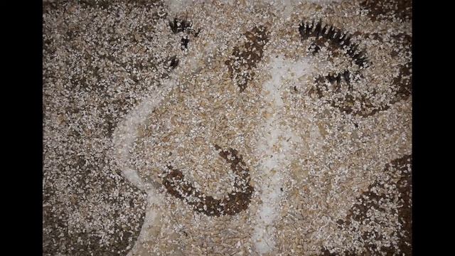 С Днем защитника Отечества! смотреть онлайн