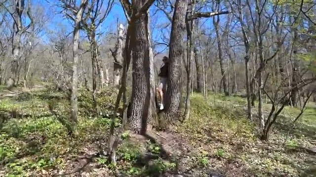 Крым/ Топловский монастырь/ Море смотреть онлайн