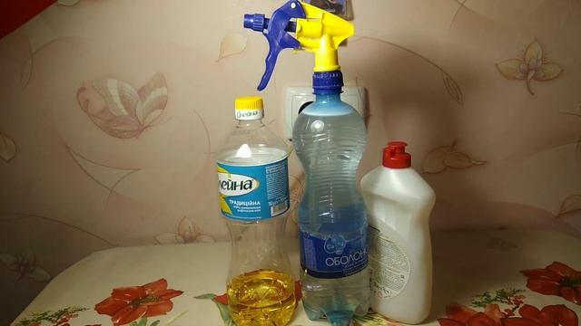 Як добитися чистого листя у фіалок! Рецепт! смотреть онлайн