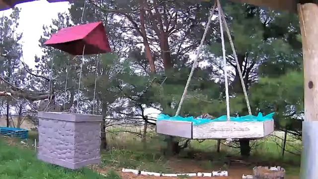 2021 Apr 20 Livestream bird feeding station. Ripley, Ontario Canada by AtHomeFriendlyTecGuy смотреть онлайн
