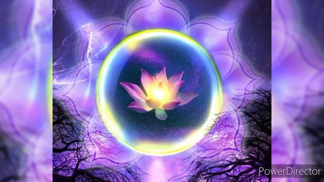 Медитация столб света Хроники Акаши смотреть онлайн