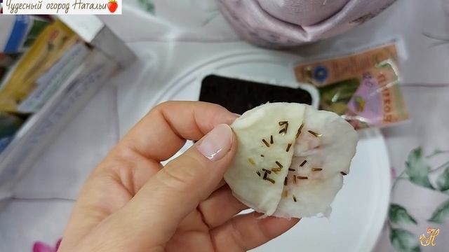 ?Посев вербены на рассаду, всходы смотреть онлайн