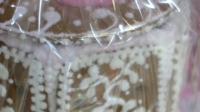 14-й Международный гастрономический молодежный фестиваль «Возрождаем традиции. Рождество» смотреть онлайн