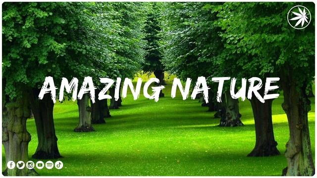 Лечебная музыка для сердца и сосудов ? Музыка для глубокого сна и расслабления для души #Shorts смотреть онлайн