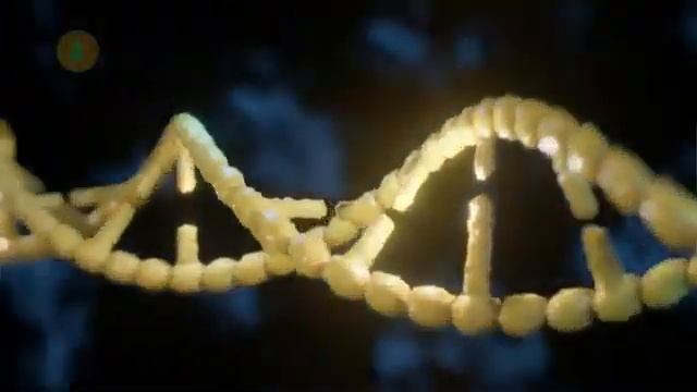 Матрица Уэс Пенре 2 часть Выход из Матрицы смотреть онлайн