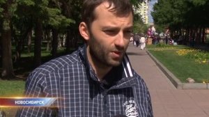 голубей травят