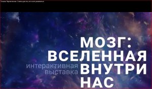 Татьяна Черниговская- Советы для тех, кто хочет развиваться.mp4