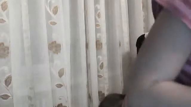 моя кукла монстер хай и школьная сумка смотреть онлайн