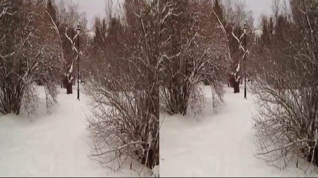 Дендропарк, зима смотреть онлайн