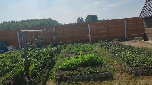Едем на речку отдыхать .Дачный влог.#дачныйвлог #дача #огородныедела смотреть онлайн