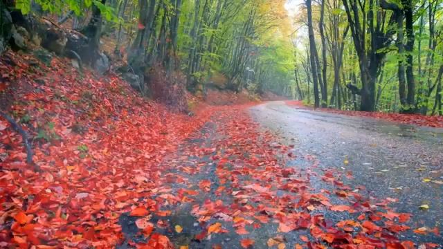 Скоро осень смотреть онлайн