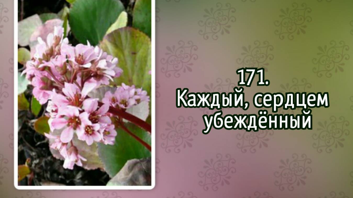 Гимны надежды 171 Каждый, сердцем убеждённый (-) смотреть онлайн