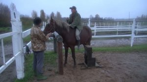 Как заездить лошадь. День первый.