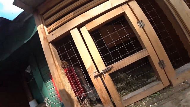 VLOG: БЕЗ ДЕНЕГ ТОЖЕ МОЖНО ЖИТЬ смотреть онлайн