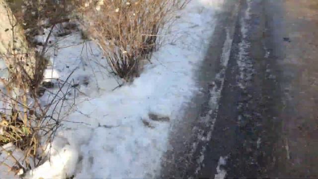 Домофоны Пскова смотреть онлайн