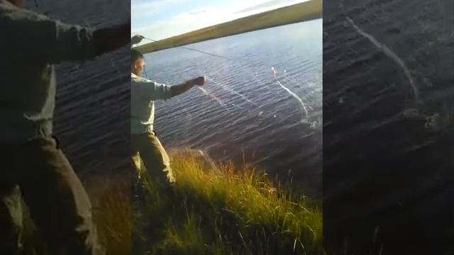 Ненцы ставят сети на озере в тундре смотреть онлайн