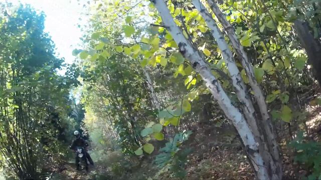 Обычная покатушка, застрял в болоте смотреть онлайн