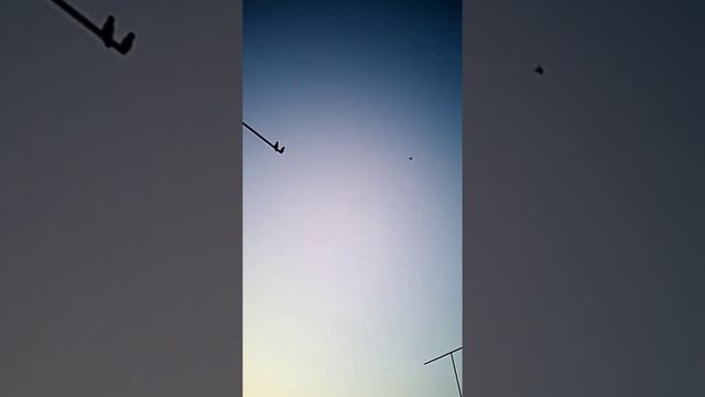 небесный танец / бой / лёт / тяга / винт / фонарь / столбовая игра / бойные голуби смотреть онлайн