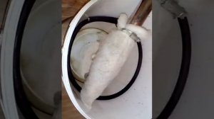 Моющий пылесос своими руками