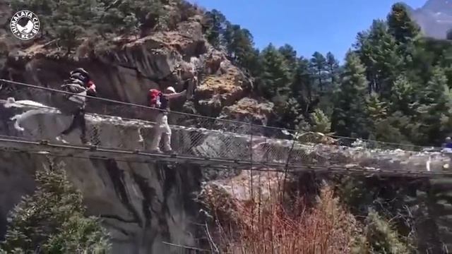 К подножию Эвереста. Непал, 2017 смотреть онлайн