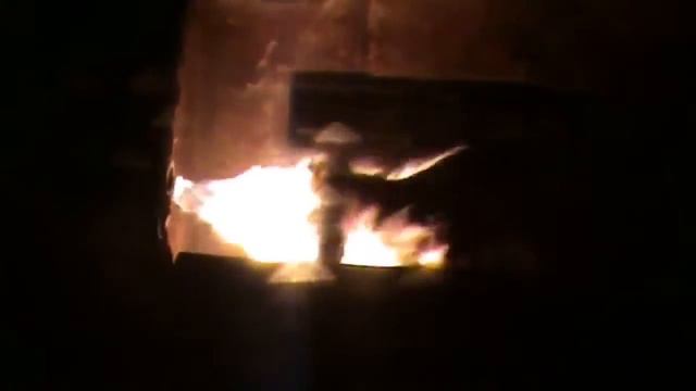 Индивидуальная кремация кота смотреть онлайн