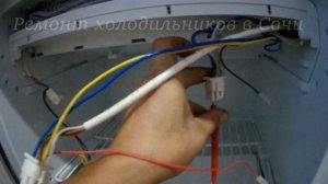 Ремонт холодильника Indesit C138NFG.016, не холодит верхняя камера