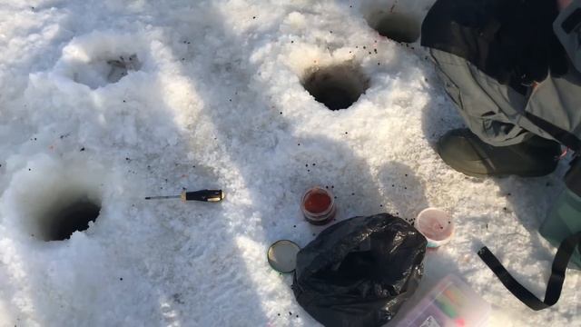 5 февраля 2017 г. смотреть онлайн