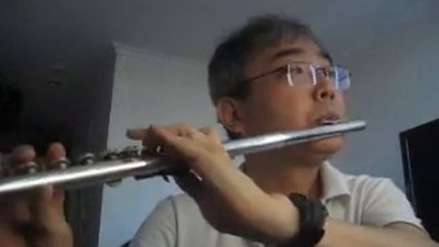 찬송가 Hymn - 212 장 - 너 성결키 위해 - Pearl Nickel Flute смотреть онлайн