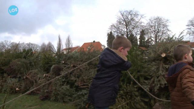 Inzameling Kerstbomen gemeente Elburg смотреть онлайн
