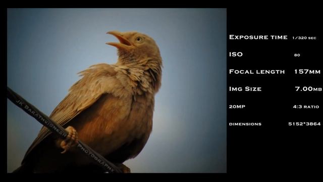 SONY H300 SAMPLE IMAGES WITH DETAILS смотреть онлайн