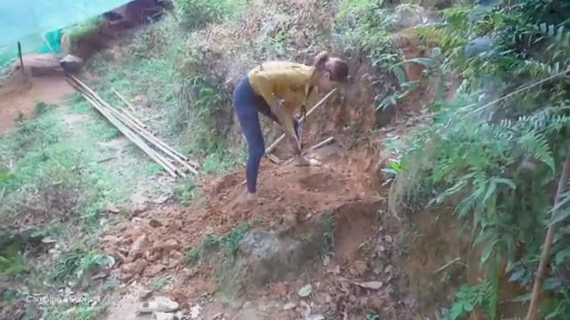 Building Pig House, BUILD LOG CABIN for pig - Crush dried cassava - Green forest life, farm life смотреть онлайн