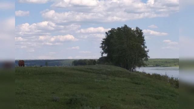 InShot 20210612 114137255