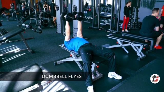DUMBBELL FLYES | РАЗВЕДЕНИЕ ГАНТЕЛЕЙ ЛЕЖА смотреть онлайн