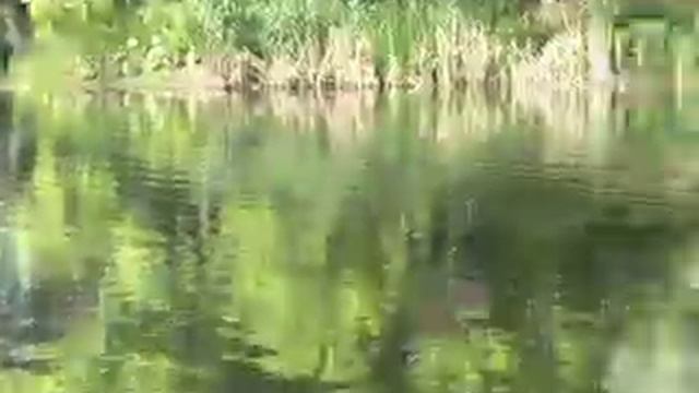 Река Донец смотреть онлайн