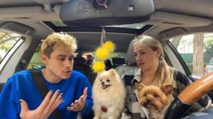 24 ЧАСА ПРАНКУЮ ОПЕРАТОРА!