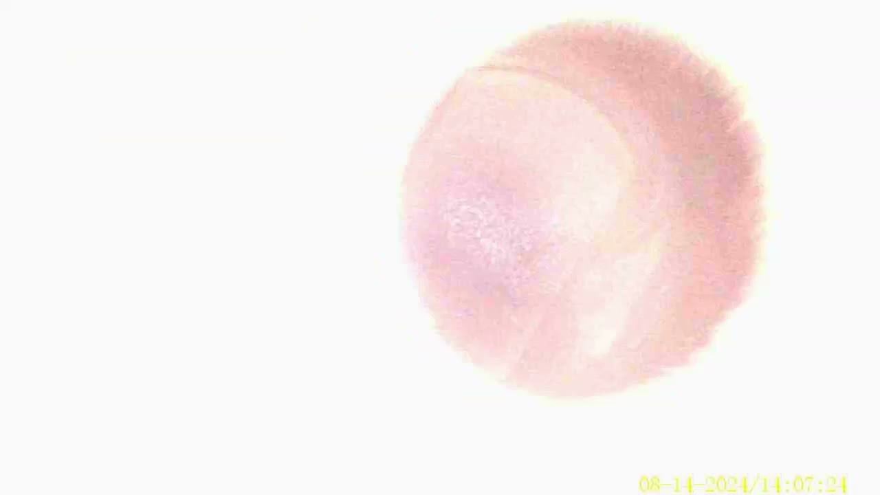 Эндоскопия 100 тыс.км после капремонта. ЗВУК ПИШЕТ ЭНДОСКОП! не стоит по этому поводу умничать.