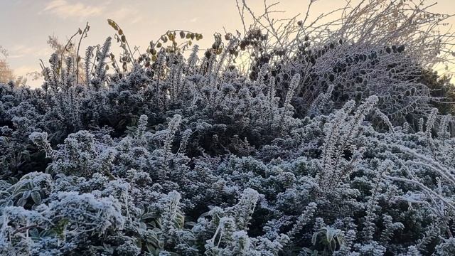 Житие мученицы Татианы Римской, девы, диаконисы смотреть онлайн