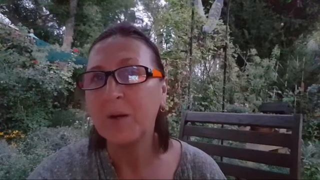 Пообщаемся пока я поливаю Сад/Про чайный гриб Kombucha смотреть онлайн